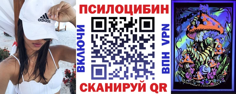 Псилоцибиновые грибы Psilocybine cubensis  Шадринск 
